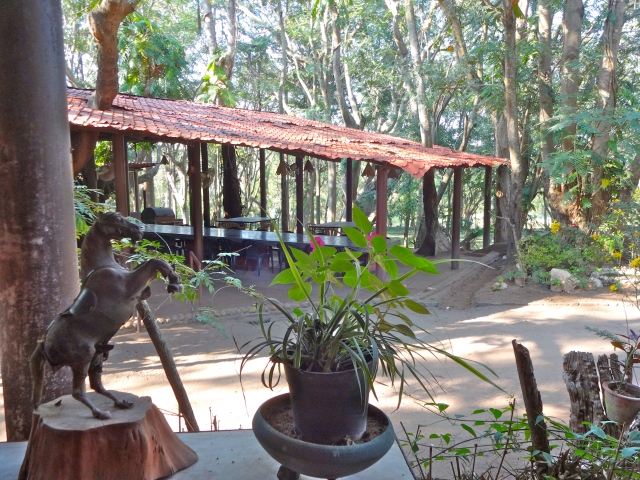 The dining area: a great place to enjoy delicious food and nature at the same time!